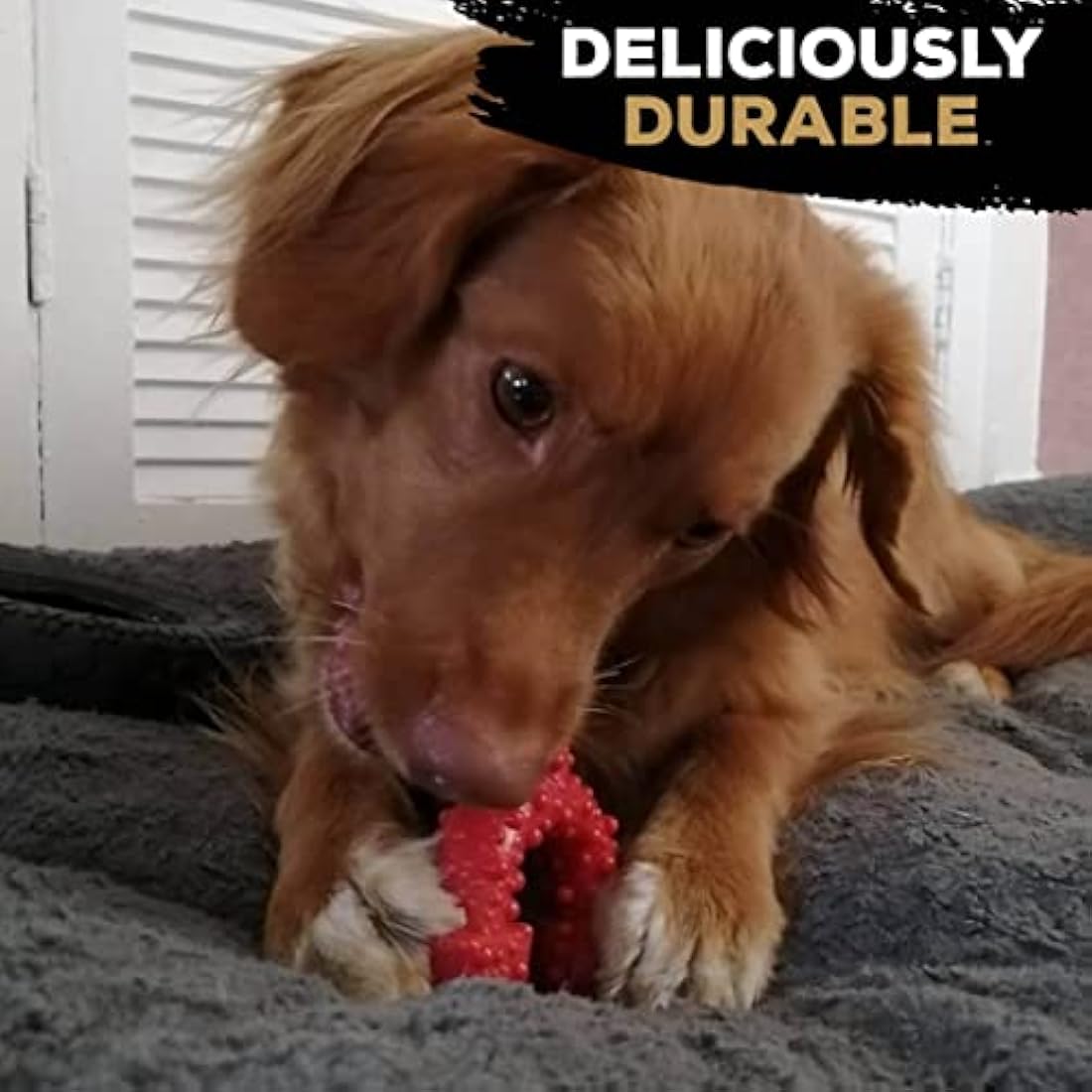 TastyBone TrioBone Beef Nylon Dog Chew Toy for Aggressive Chewers