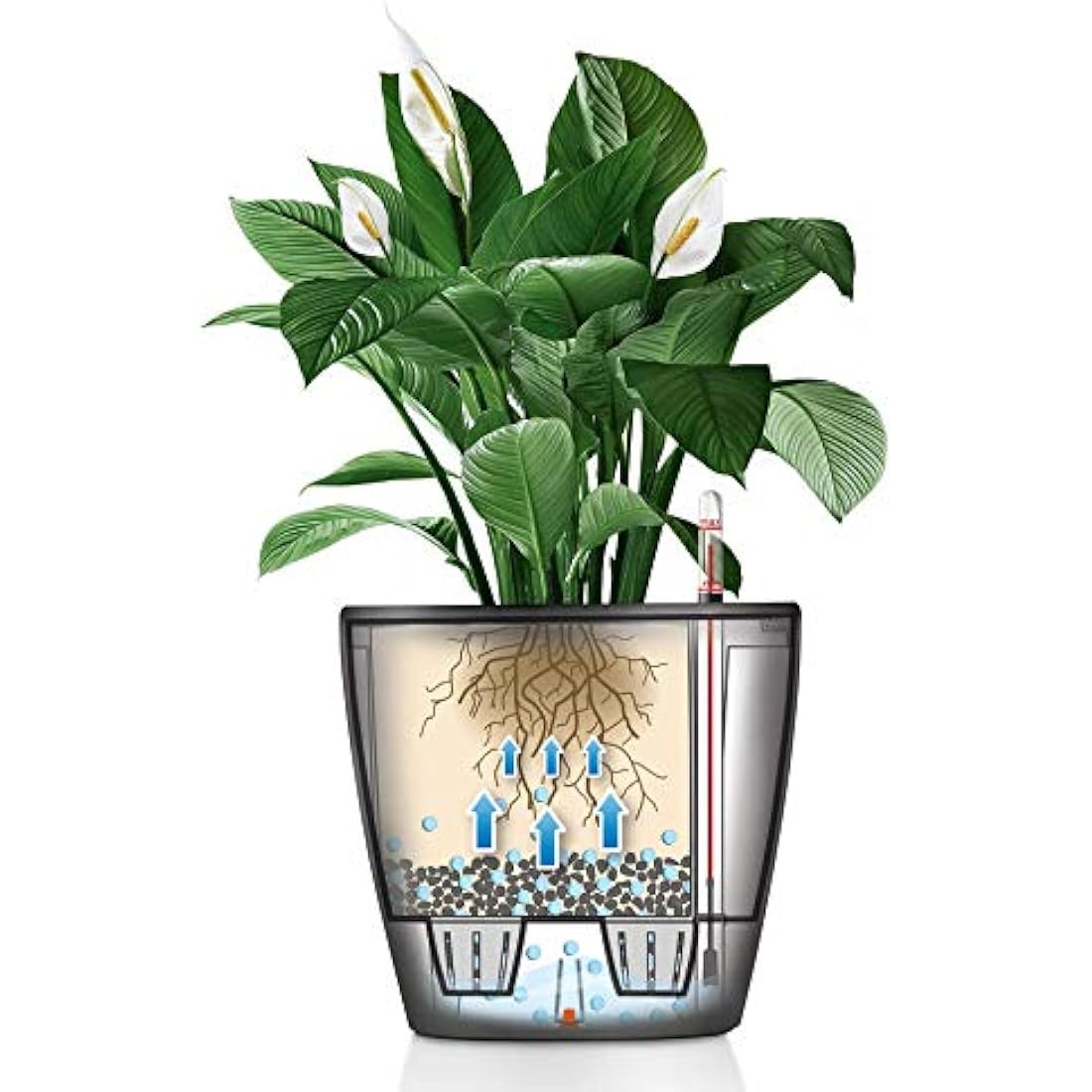 LECHUZA CLASSICO Premium LS 50 Planter - Anthracite Metallic Pot