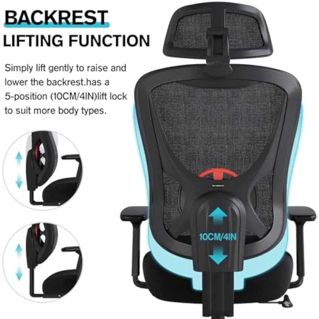 Eucladoceros Ergonomic Mesh Office Chair | 3D Lumbar Support & Armrests