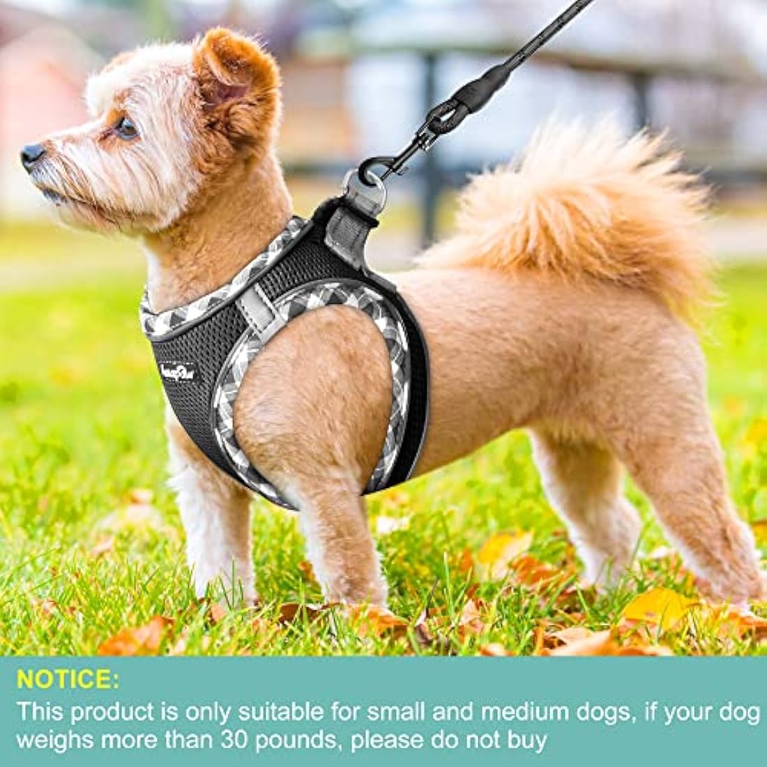 No Pull Dog Harness and Lead Set | Reflective Mesh Vest