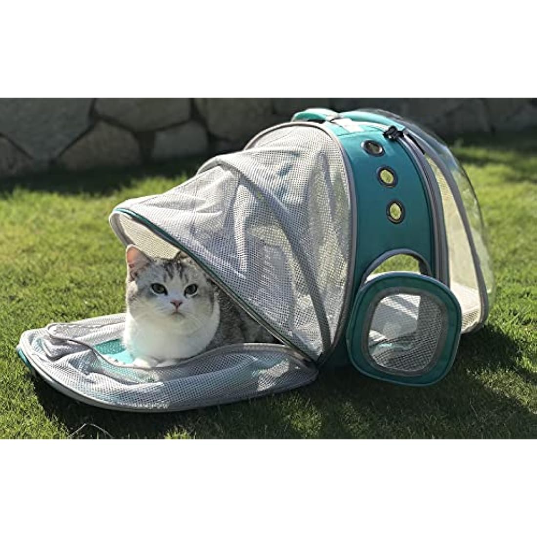 Interfashioner Expandable Cat Backpack Carrier | Dual Extension for Large Cats