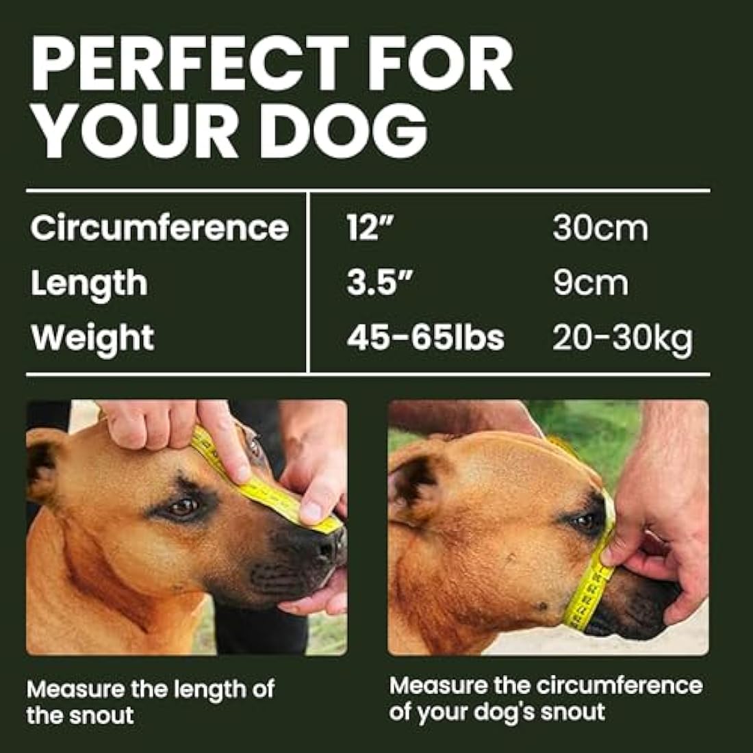 BronzeDog Metal Basket Dog Muzzle for Pitbulls – Adjustable Leather, Pink