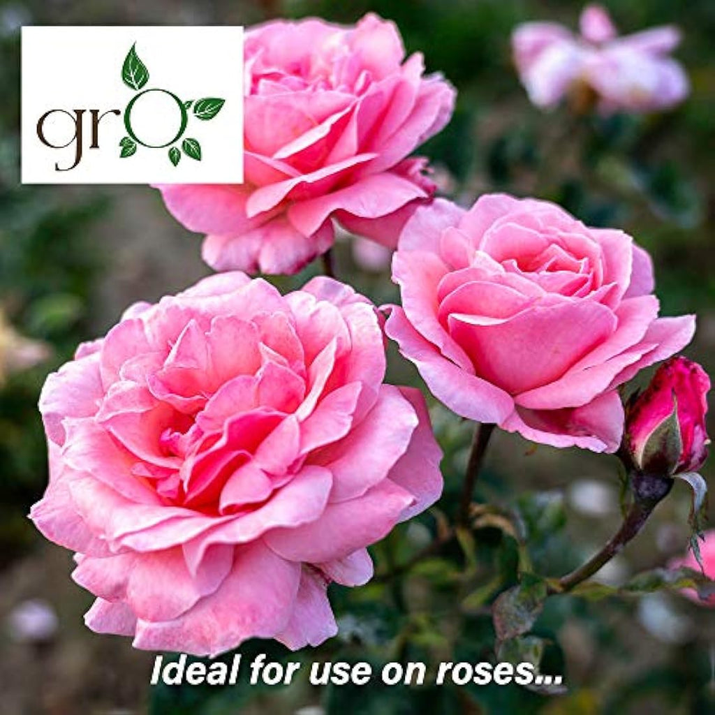 The Gro Company Organic Top Soil Fertiliser | 100% Chemical Free Feed