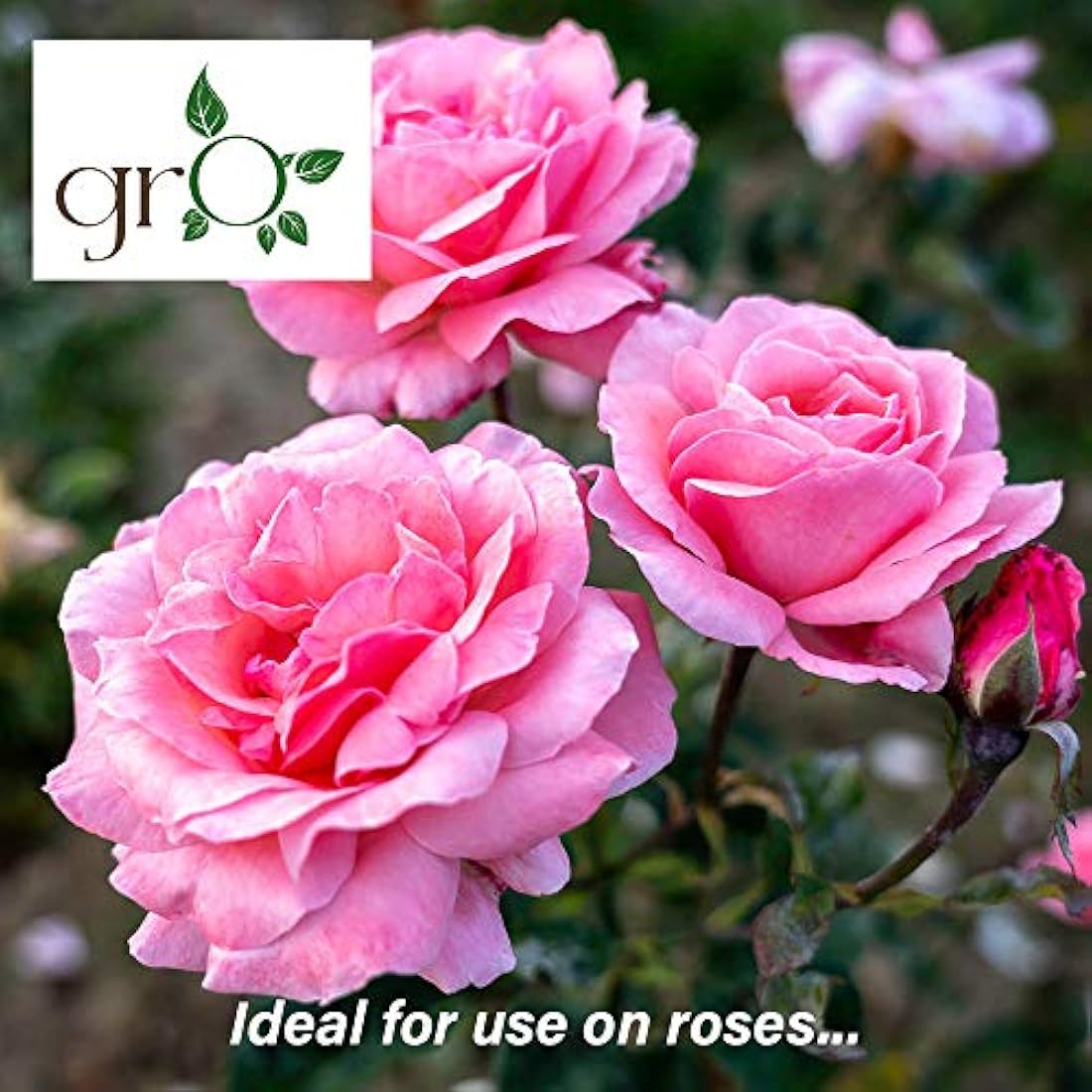 The Gro Company Organic Top Soil Fertiliser | 100% Chemical Free Feed