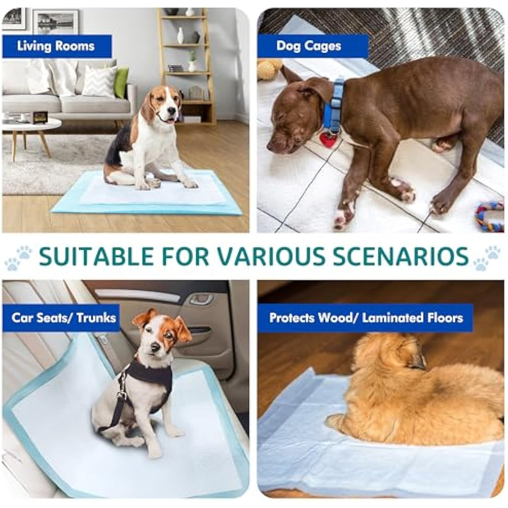 Jolof Store Puppy Training Pads – 50 Pack Absorbent 60x60cm Pee Pads