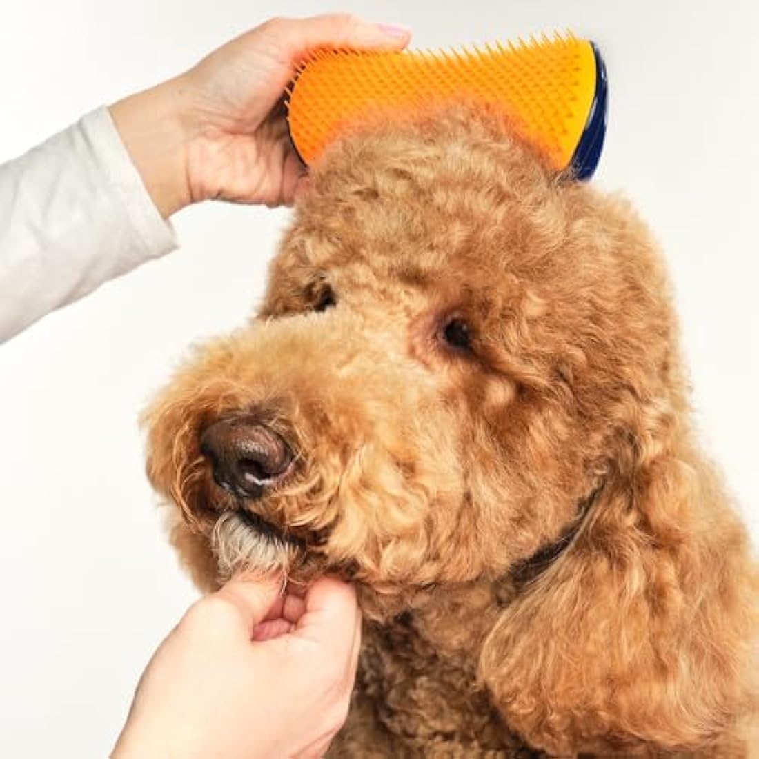 Tangle Teezer Pet Teezer - Detangling Dog Grooming Brush - Navy & Orange