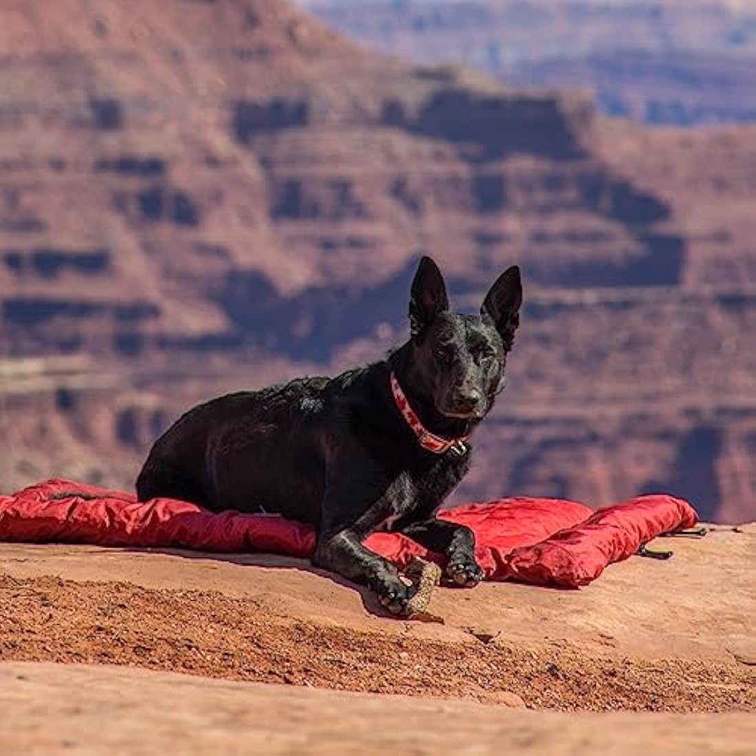 Kurgo Waterproof Travel Dog Bed – Portable Outdoor Camping Mat, Chili Red