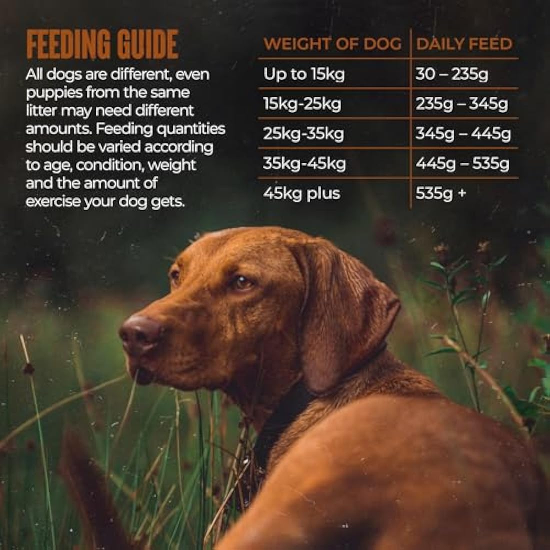 Alpha Sensitive Duck and Rice Hypoallergenic Dry Dog Food - 15kg