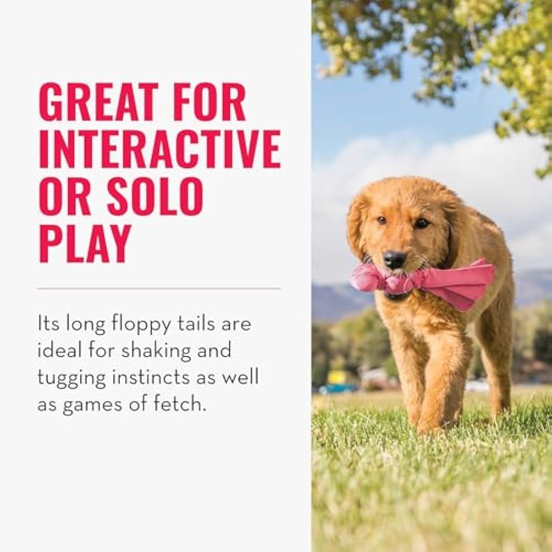 KONG Wubba Puppy Nylon Tug of War Squeaky Dog Toy – Assorted Colors