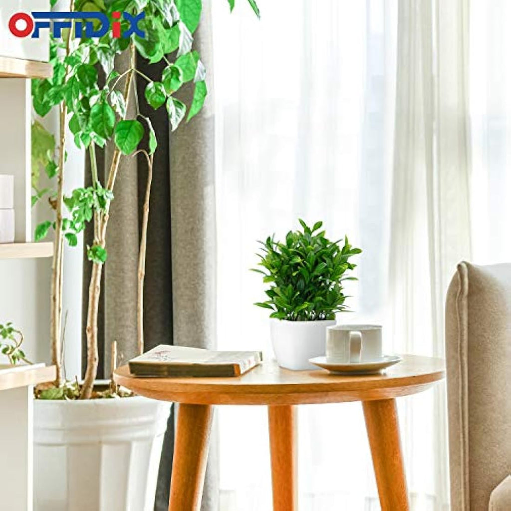 Jolof Store Artificial Eucalyptus Plant with Square Vase for Desk Decor