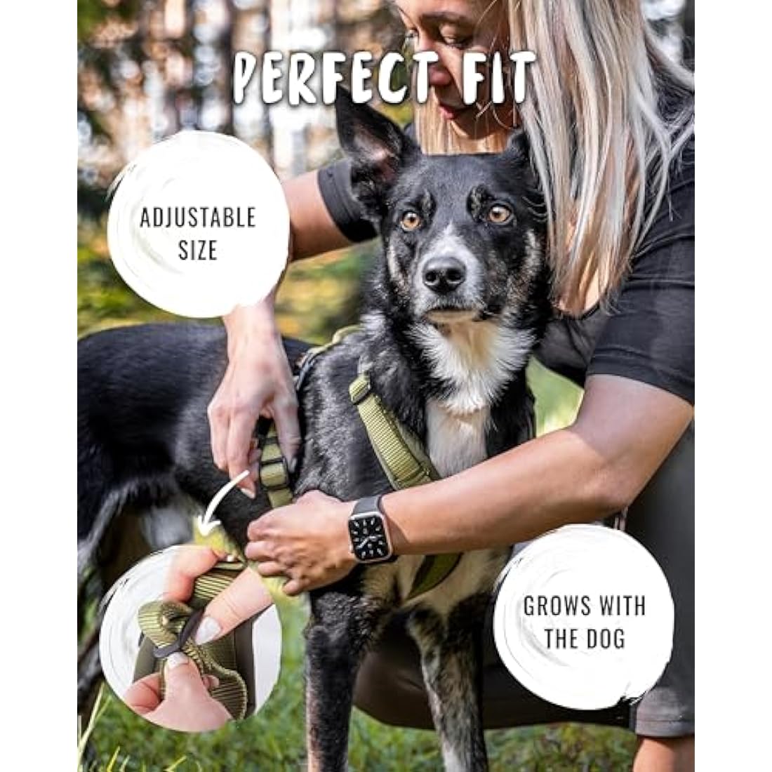Rudelkönig Bella Dog Harness – No Pull Padded Escape Proof Chest Harness