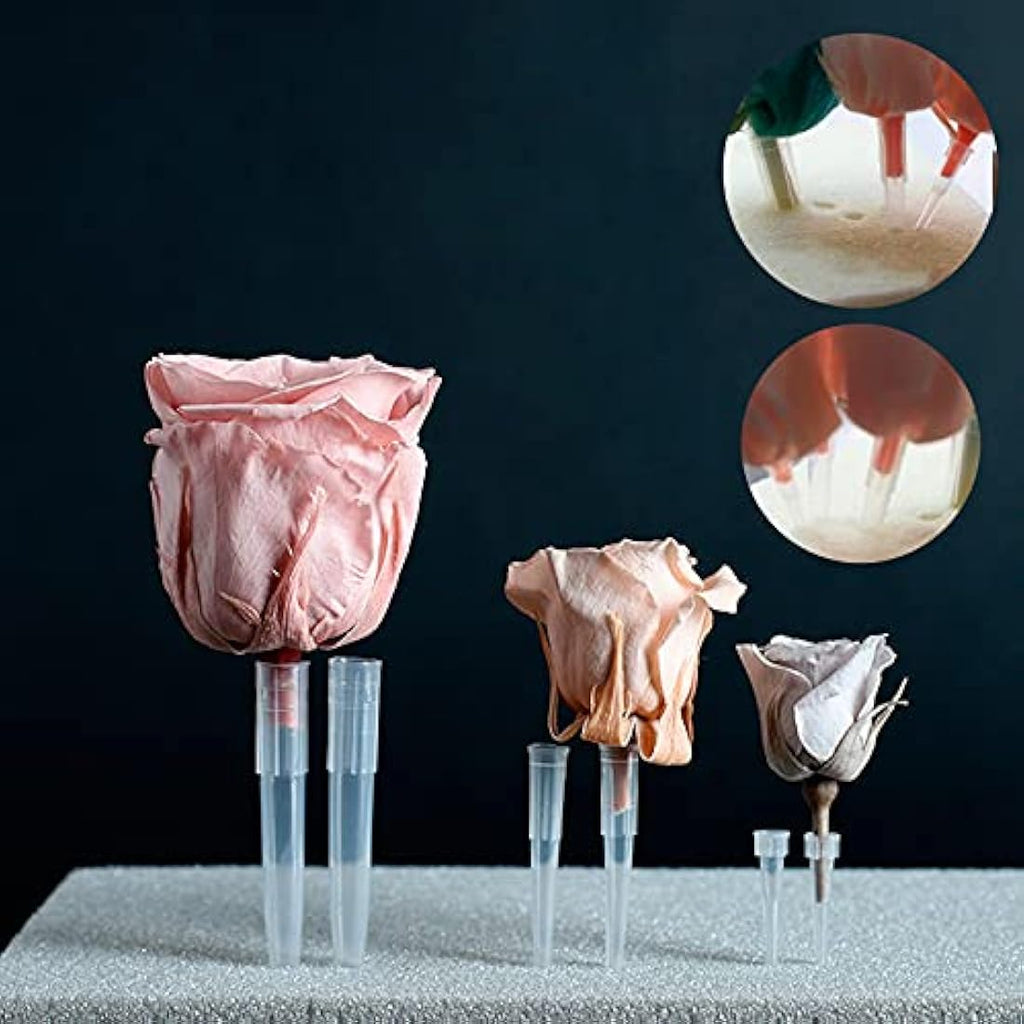 Jolof Store 60 Pcs Plastic Flower Tubes | 3 Sizes Posy Picks for Cakes