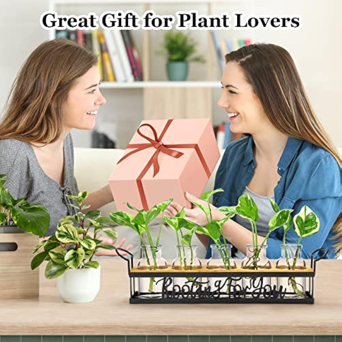 THYGIFTREE Plant Propagation Station | Metal Stand Glass Terrarium