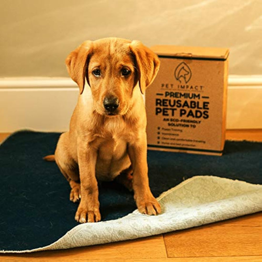 Pet Impact Washable Puppy Pads – XL Reusable Dog Pee Pads, 2-Pack