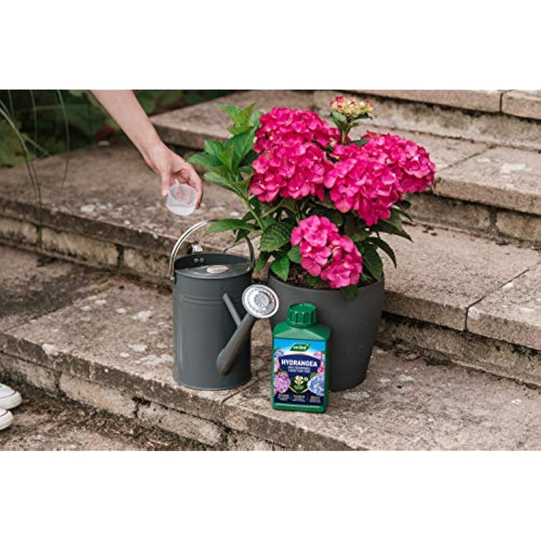 Westland Hydrangea High Performance Liquid Plant Food - 1 Litre