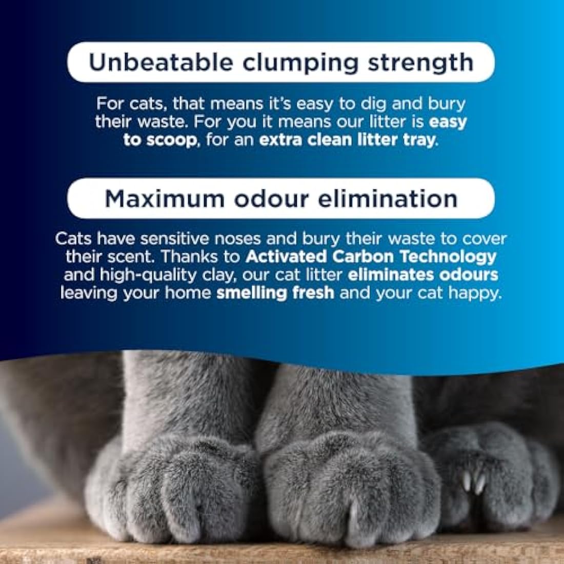 Ever Clean Extra Strong Scented Clumping Cat Litter - 20L Odor Control