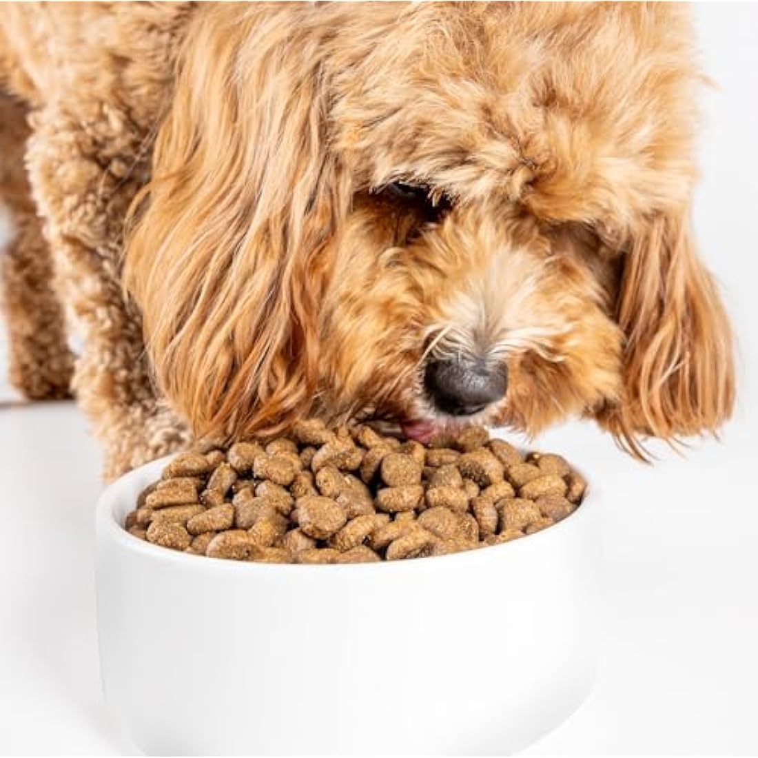 Scrumbles Natural Dry Dog Food - Fresh Chicken & Gluten Free - 7.5kg