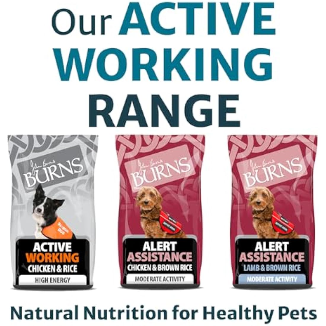 Burns Pet Nutrition Active Dog Food – Hypoallergenic Chicken & Rice 12kg