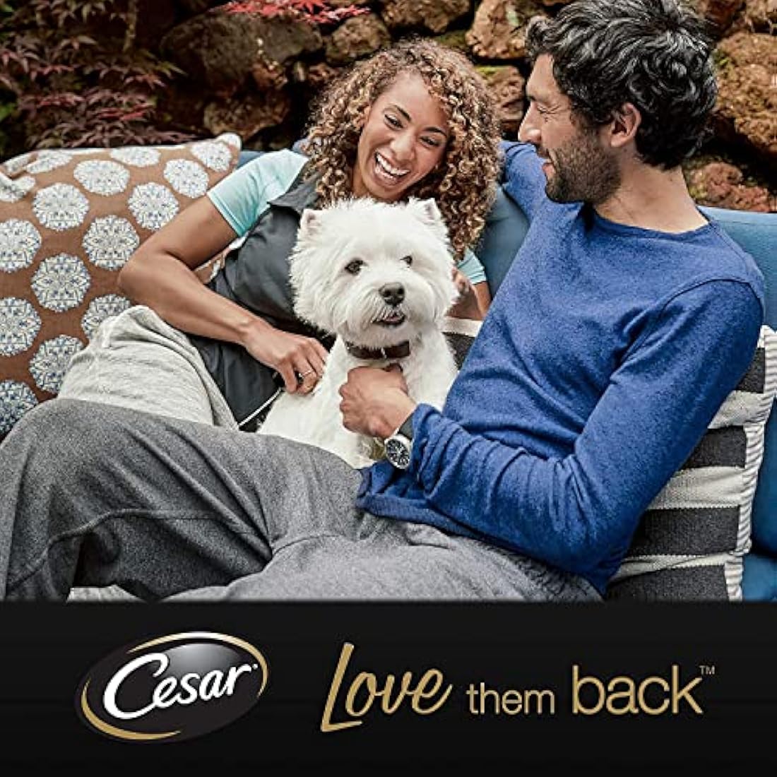 Cesar Chicken & Vegetable Wet Dog Food Stew – 14 x 150g Trays