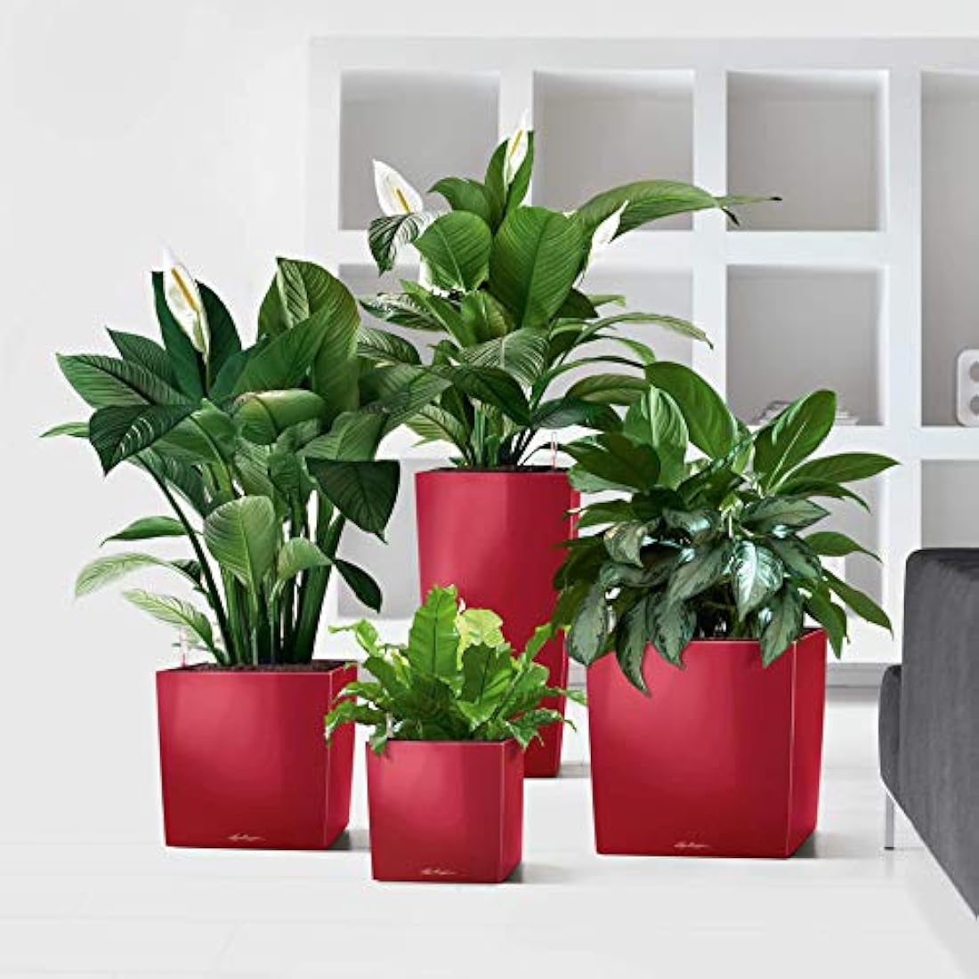 LECHUZA CUBE Premium 50 Self-Watering Planter – Silver Metallic