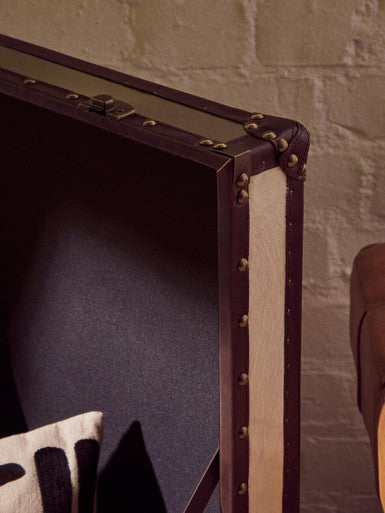 Orsina Kensington Brown and White Cowhide Storage Trunk Chest