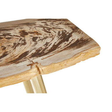 Orsina Petrified Wood Console Table | Slim Brass Finish Iron Legs