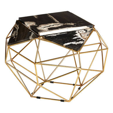 Orsina Relic Petrified Wood Side Table | Gold Brass Iron Base
