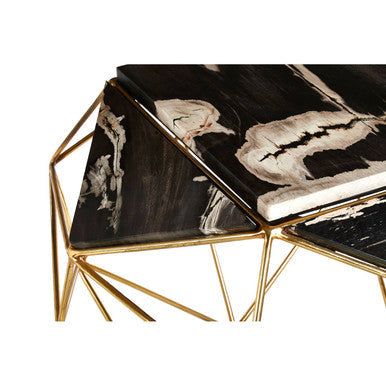 Orsina Relic Petrified Wood Side Table | Gold Brass Iron Base