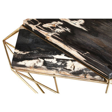 Orsina Petrified Wood Coffee Table | Dark Stone & Gold Geometric Base