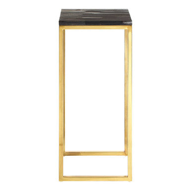 Orsina Petrified Wood Side Table – Square Stone Top with Brass Base