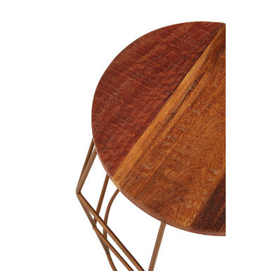 Orsina Round Side Table – Recycled Wood Top with Brass Iron Base