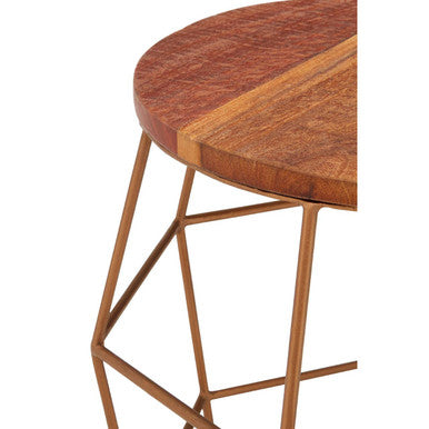 Orsina Round Side Table – Recycled Wood Top with Brass Iron Base