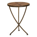 Orsina Elmo Small Side Table | Brown Elm Wood & Antique Brass Iron