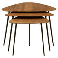 Orsina Elmo Nest of 3 Triangular Elm Wood and Iron Nesting Tables