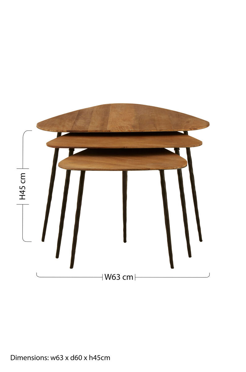 Orsina Elmo Nest of 3 Triangular Elm Wood and Iron Nesting Tables