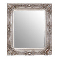 Orsina Marseille Champagne Wall Mirror – Silver Floral Beveled Frame