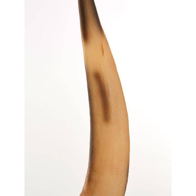 Orsina Boho Natural Horn Ornament – Resin Sculpture with Gold Trim