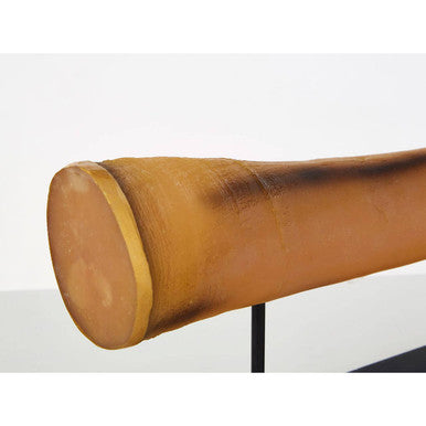 Orsina Boho Large Natural Horn Ornament | Resin & Wood Sculpture