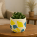 Orsina Carra Glass Planter – Abstract Yellow & Blue Design Pot