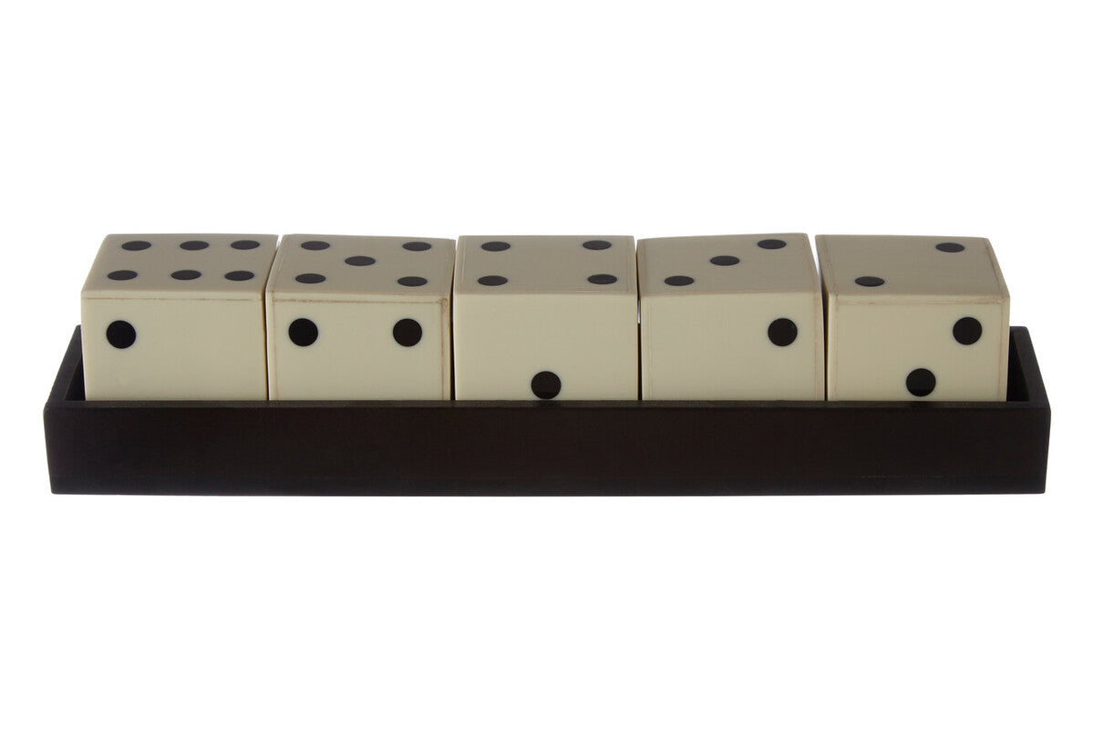 Orsina Resin Dice Set with Tray – White and Black 5-Piece Game Set