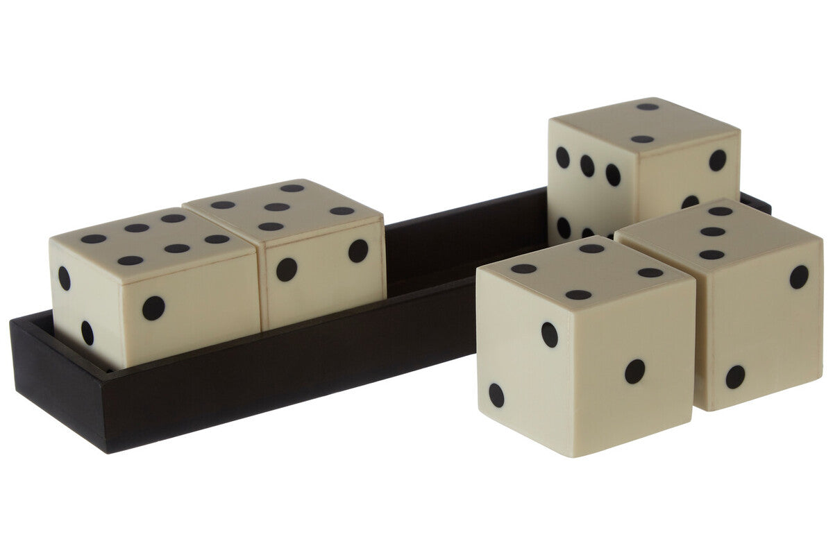 Orsina Resin Dice Set with Tray – White and Black 5-Piece Game Set