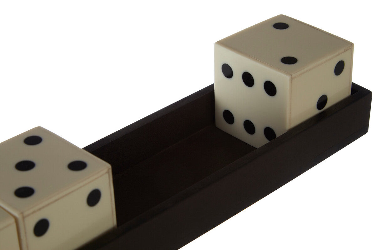 Orsina Resin Dice Set with Tray – White and Black 5-Piece Game Set