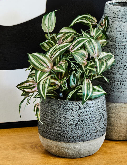 Orsina Caldera Small Grey Speckled Stoneware Planter for Succulents