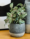 Orsina Caldera Small Grey Speckled Stoneware Planter for Succulents
