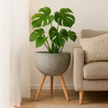Orsina Darnell Large Grey Speckled Planter – Modern Indoor Plant Pot