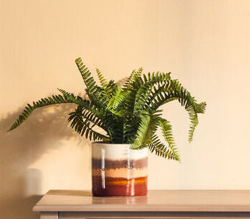 Orsina Sorrell Small Ceramic Planter – Gradient Indoor Herb Pot