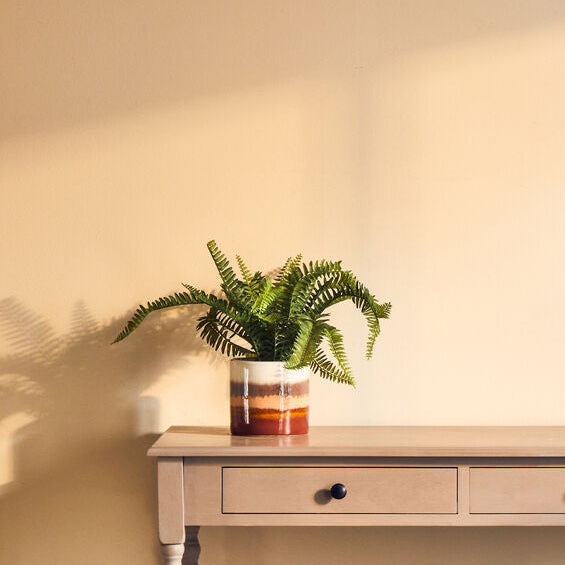 Orsina Sorrell Small Ceramic Planter – Gradient Indoor Herb Pot