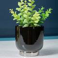 Orsina Callie Small Black Modern Planter with Silver Finish Base