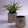Orsina Harlie Small Ceramic Planter – Grey and Gold Succulent Pot