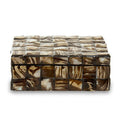Orsina Branna Small Shell Decorative Trinket Box – Natural Shell Detail